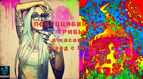 spice Балабаново