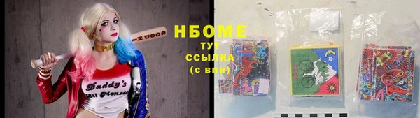 индика Заволжье