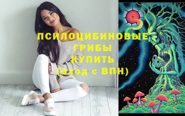 spice Балабаново
